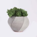 plant4 free img 150x150.jpg